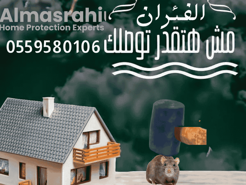 مكافحة الفئران والقوارض بأحدث مصائد الطعم الآمنة بعيداً عن الأطفال. مكافحة الفئران والقوارض بأحدث مصائد الطعم الآمنة في الرياض