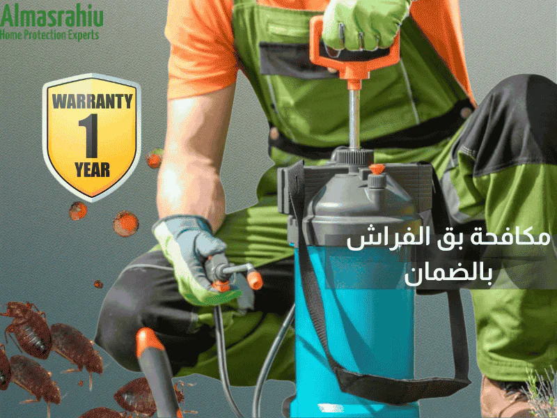 فني مكافحة حشرات يستخدم تقنية البخار للقضاء على بق الفراش. فريق مكافحة حشرات بالرياض يستخدم جهاز رش البخار الحراري