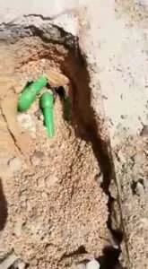 آثار رطوبة الجدران الناتجة عن تسربات المياه قبل المعالجة